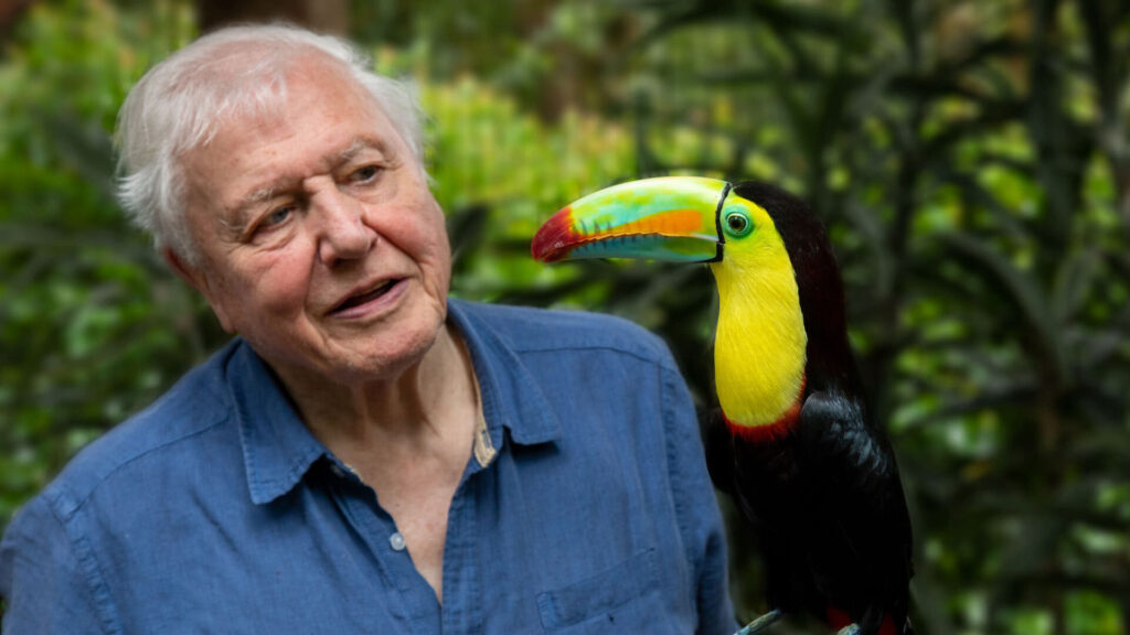 Sir David Attenborough and a tucan
