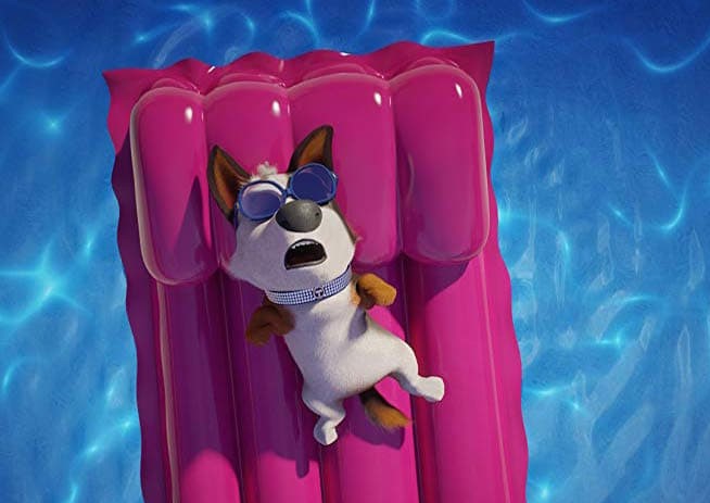 An animated dog floating in a pool